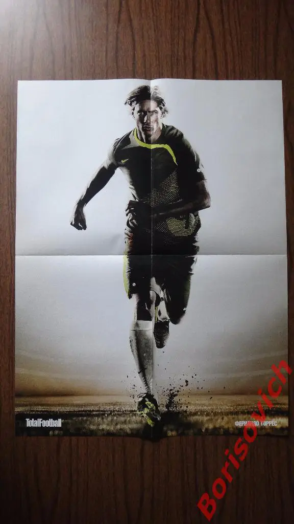 Постер Плакат из журнала Totalfootball Весли Снайдер / Фернандо Торрес 1