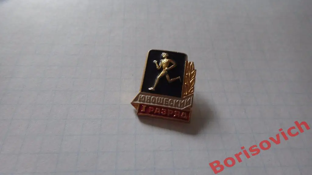 I Юношеский разряд Бег