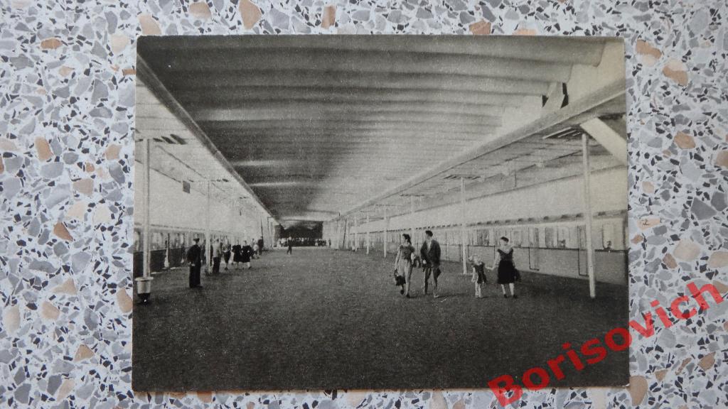 Перрон станции Ленинские горы 1960