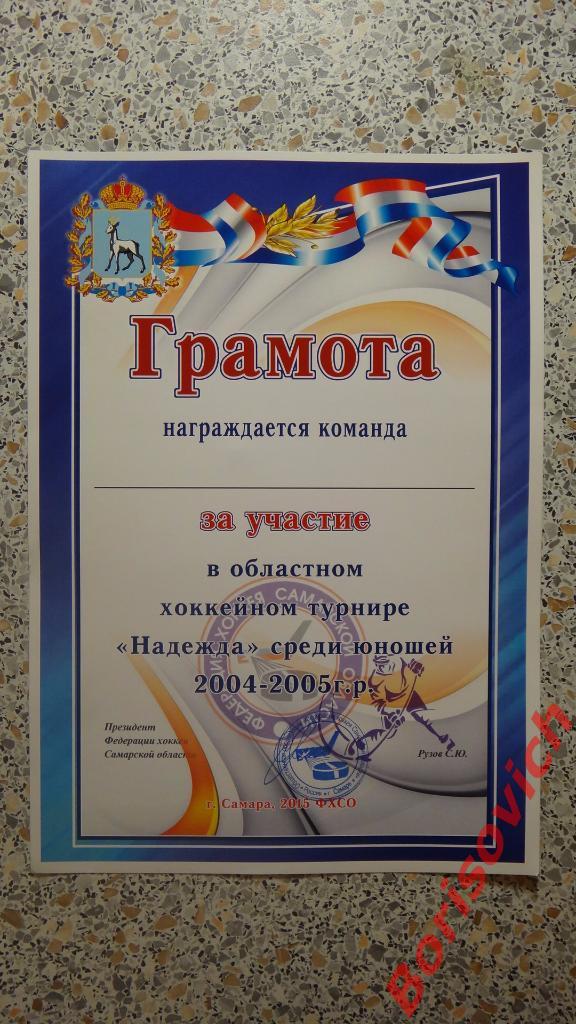 Грамота Хоккей Турнир Надежда Юноши 2004-2005 Самара 2015 Чистая