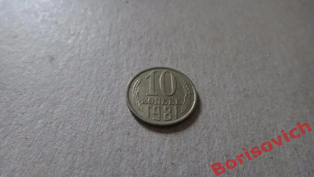 10 копеек 1981 (8)