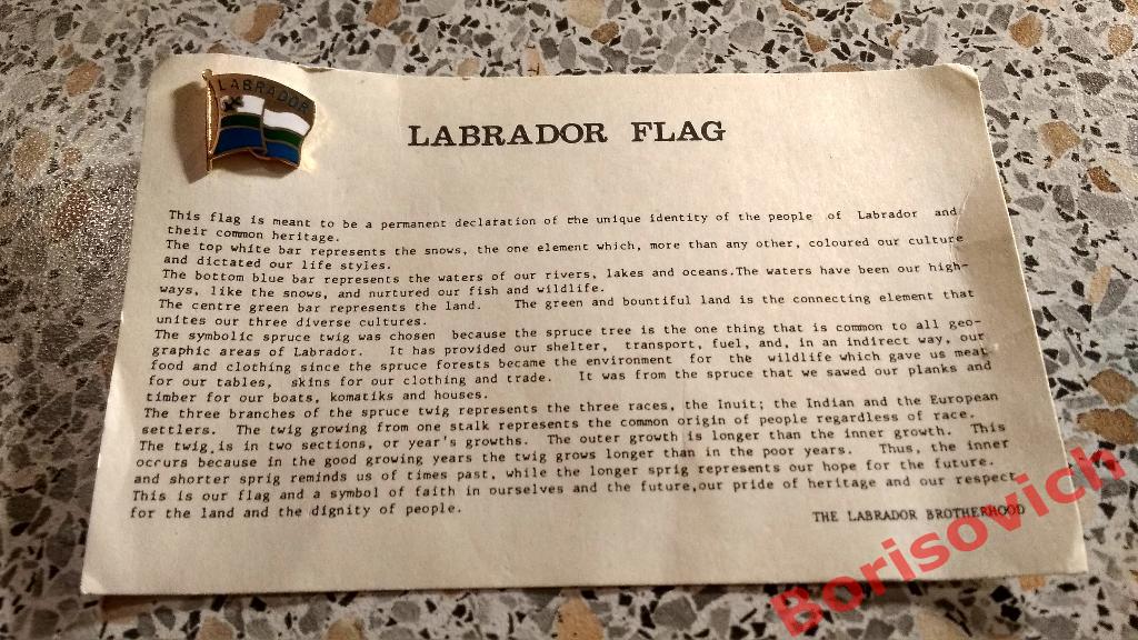Лабрадор Флаг 2