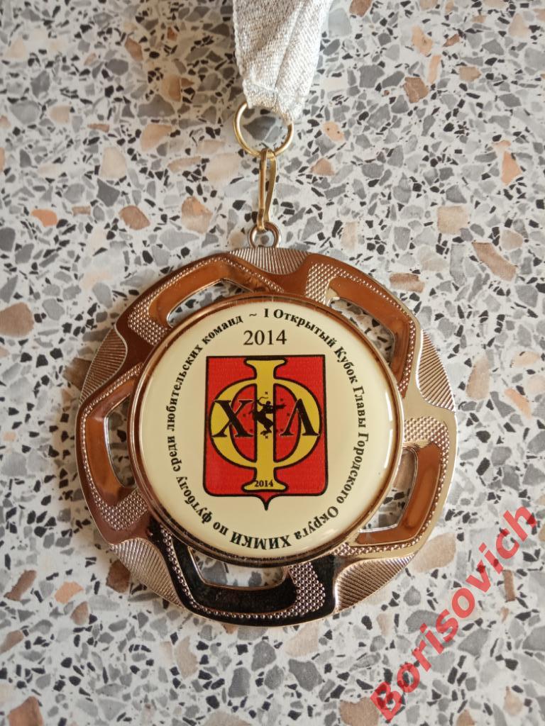 Открытый Кубок главы округа Химки по футболу среди любительских команд 2014