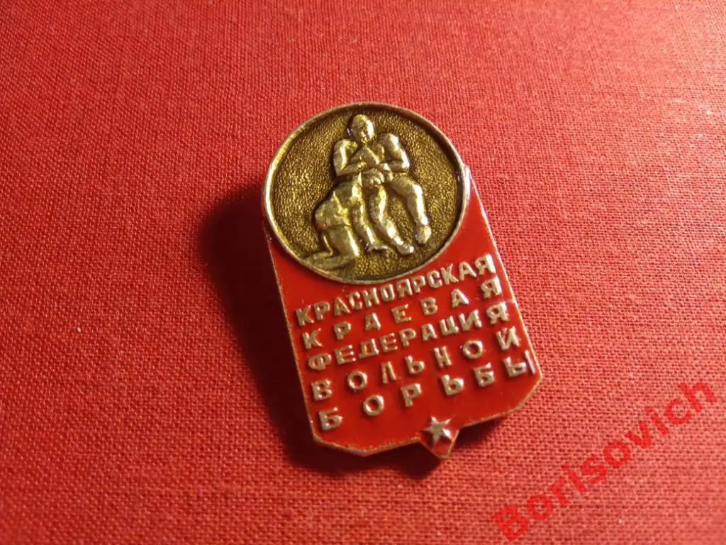 Красноярская краевая федерация вольной борьбы. 3
