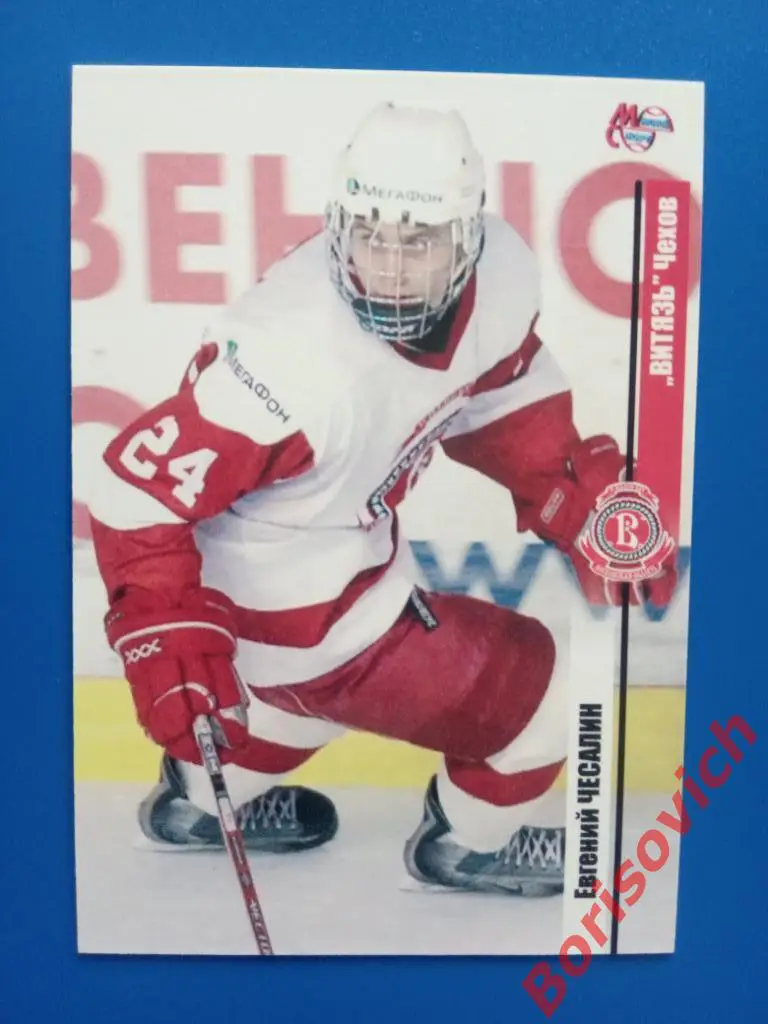 Евгений Чесалин Витязь Чехов Сезон 2006-2007 N 133