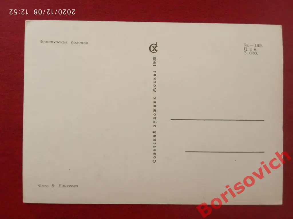 Открытка Французская болонка Советский художник 1968 г Фото В. Елисеева 1