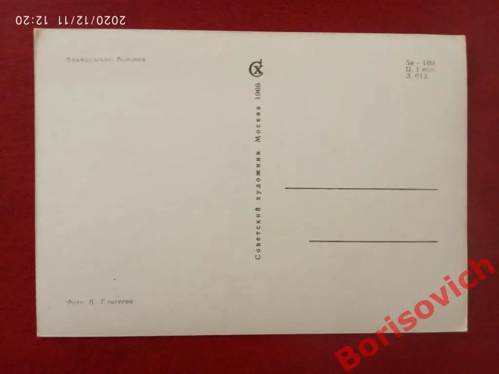 Открытка Французкие болонки Советский художник 1968 г Фото В. Елисеева 1