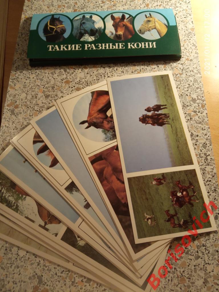 Набор открыток ТАКИЕ РАЗНЫЕ КОНИ Комплект из 15 штук 1988 г 4