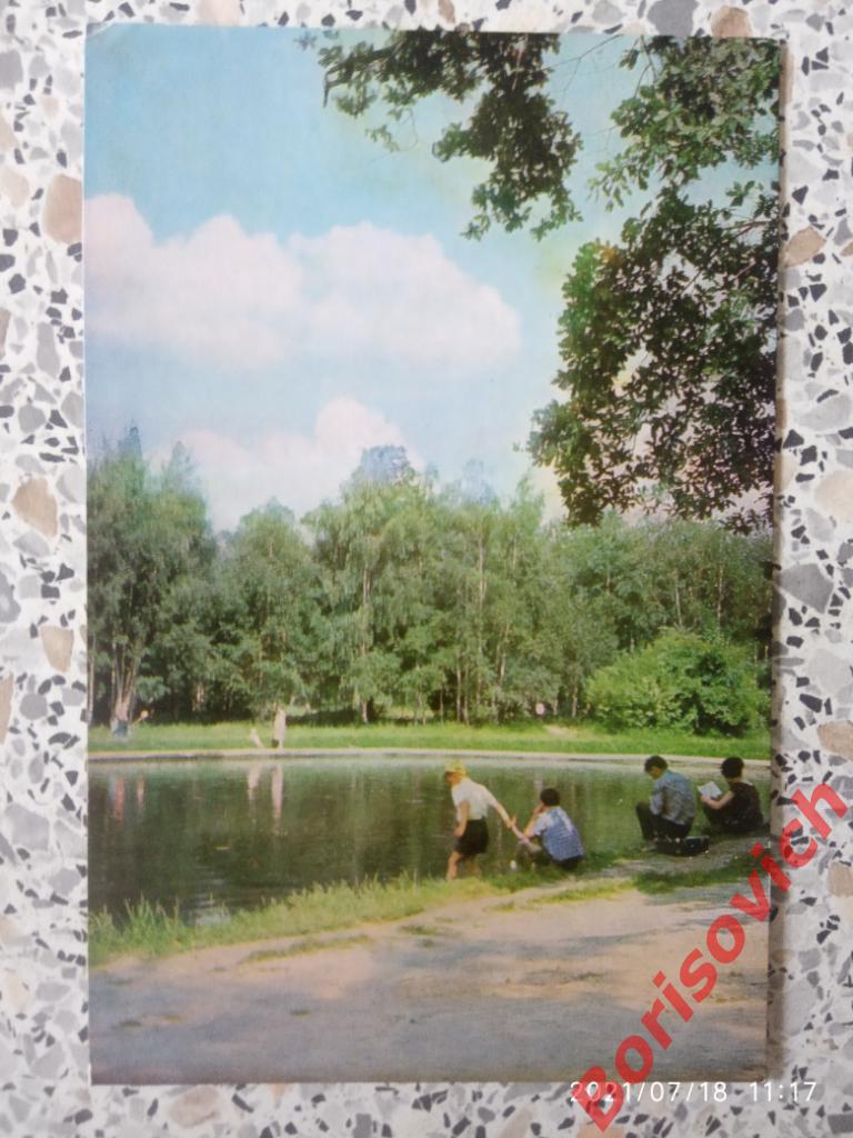 СОКОЛЬНИКИ Золотой пруд 1965 г