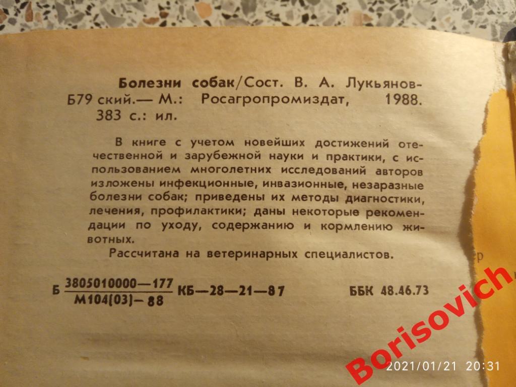 БОЛЕЗНИ СОБАК 1988 г 383 страницы 4