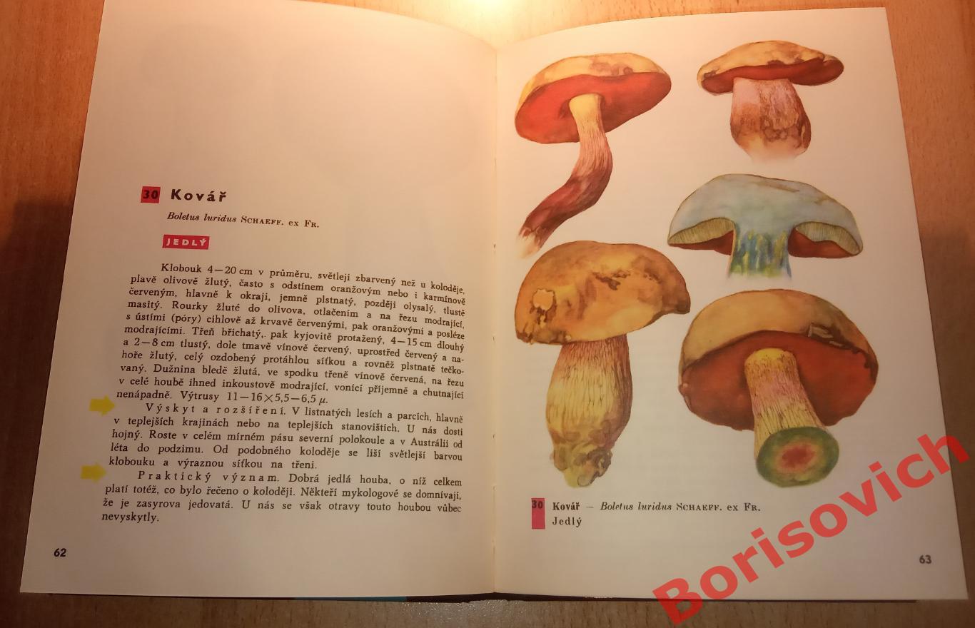 Kapesni atlas hub Определитель грибов на словацком языке Прага 1968 г 192 стр 1
