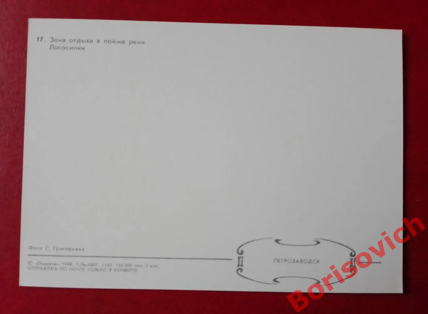 Петрозаводск Зона отдыха в пойме реки Лососинки 1