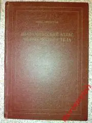Кишш Сентаготаи АНАТОМИЧЕСКИЙ АТЛАС ЧЕЛОВЕЧЕСКОГО ТЕЛА Будапешт 1960 г