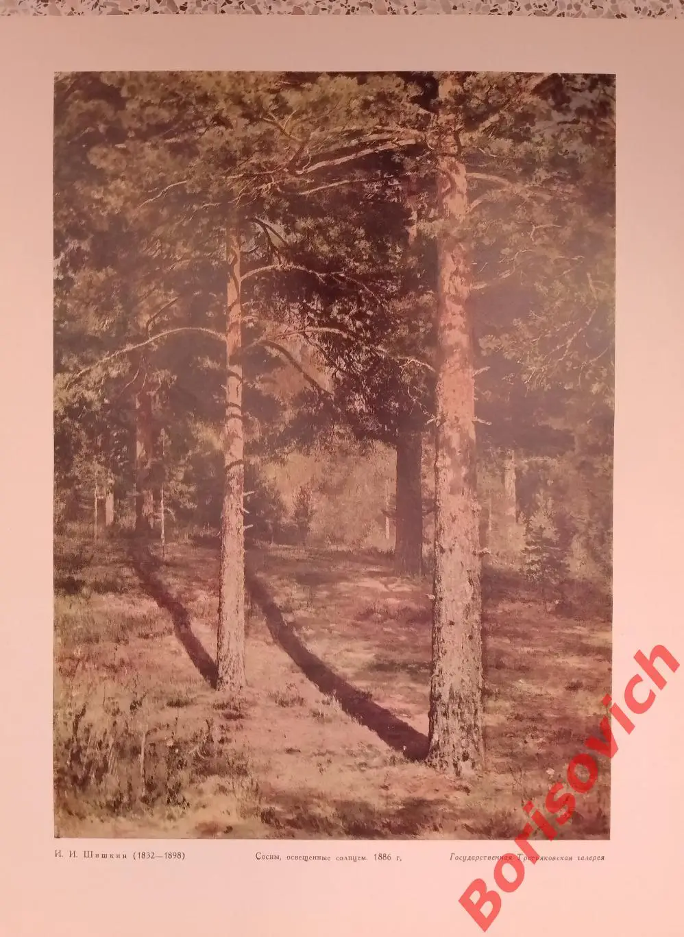 ШИШКИН Сосны, освещённые солнцем.Репродукция из набора