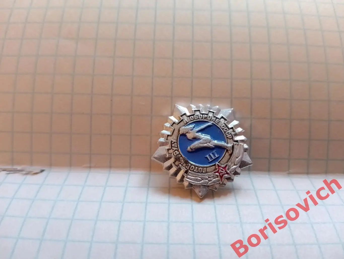 Готов к труду и обороне СССР III. 8