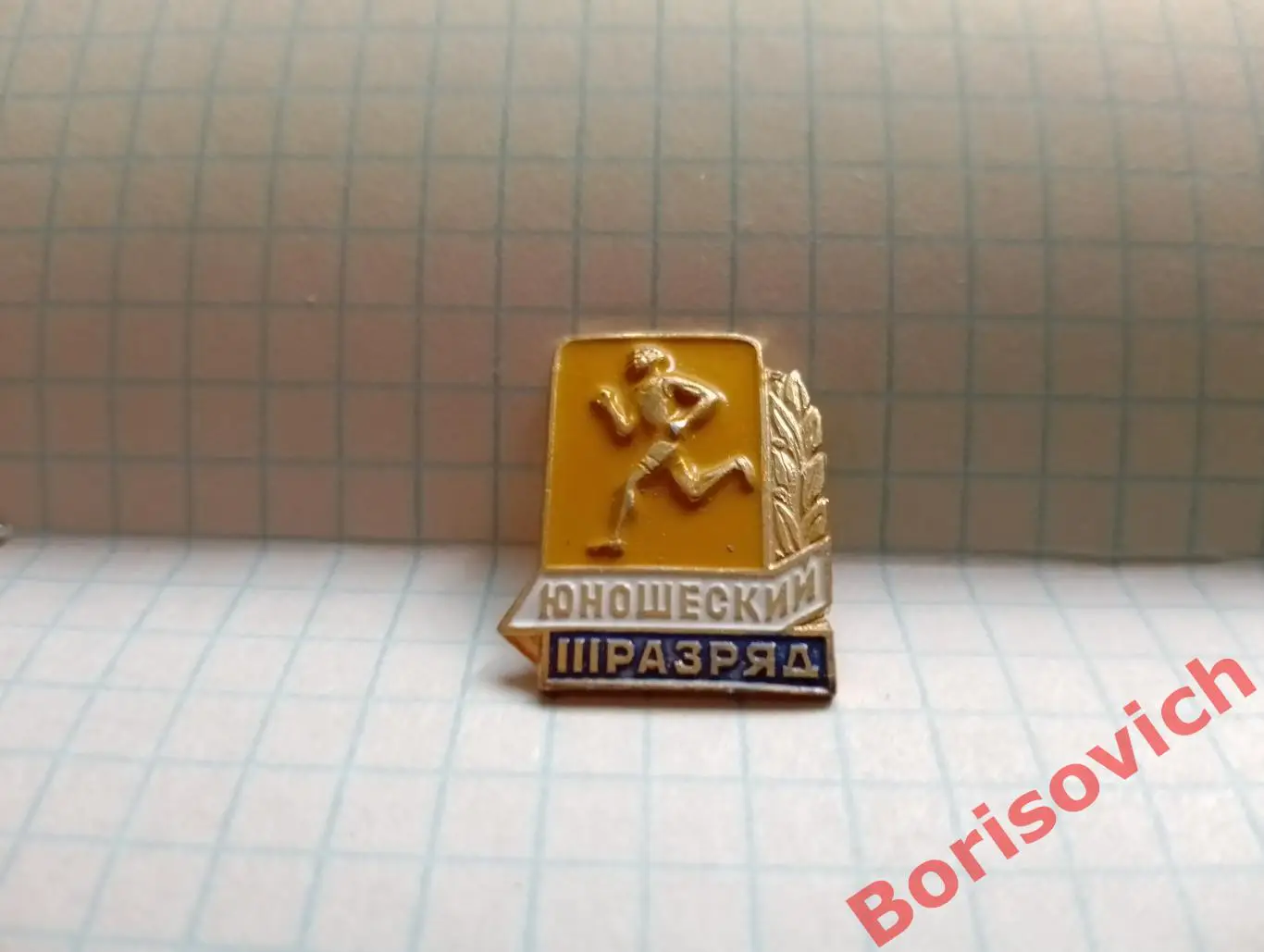 III Юношеский разряд Бег. 3