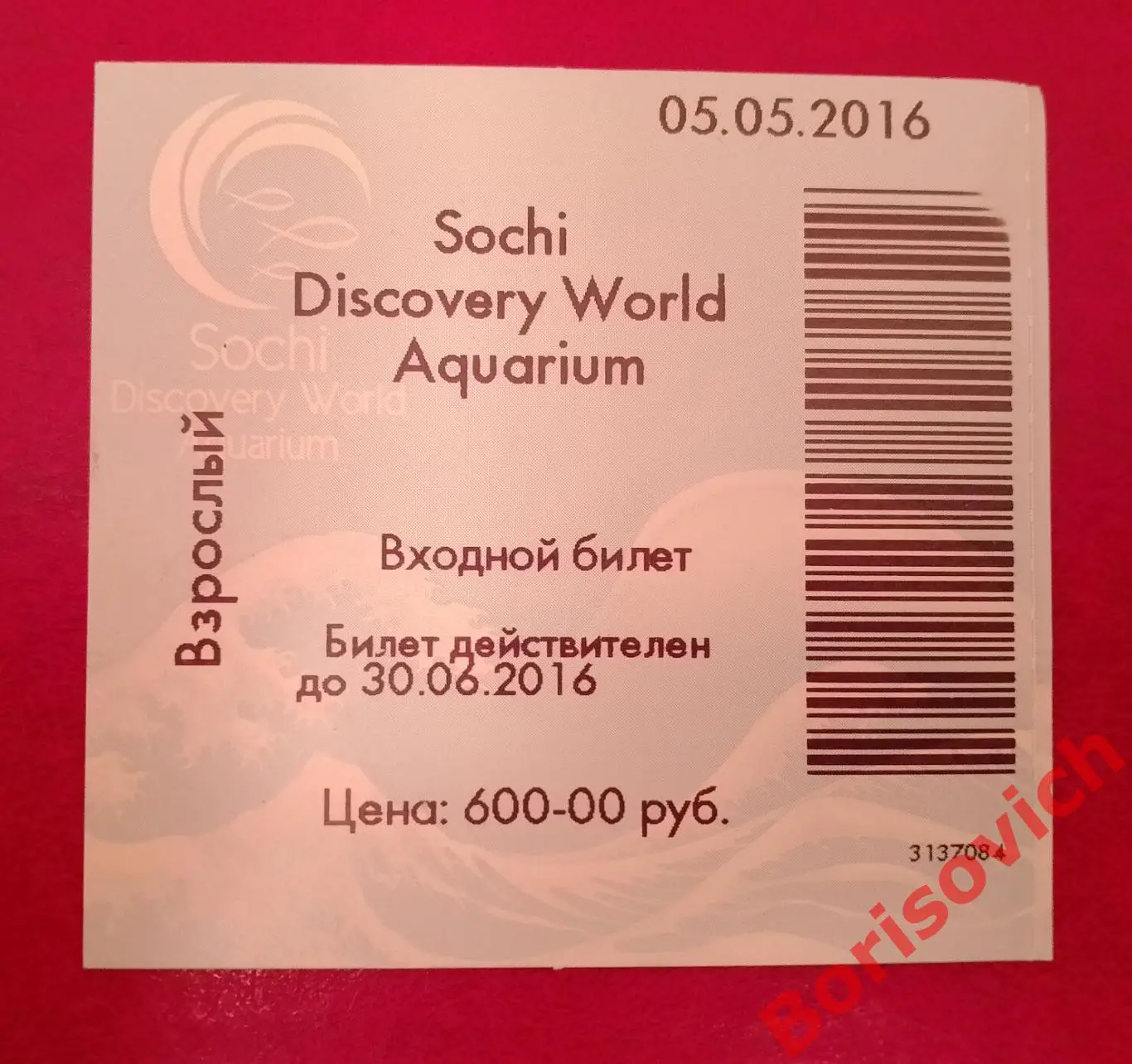 Билет Сочи Discovery World Aquarium 05-05-2016
