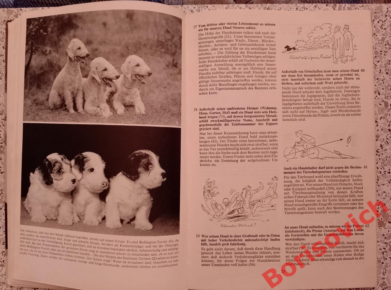 400 советов любителю собак 1965 г 112 страниц На немецком языке 4