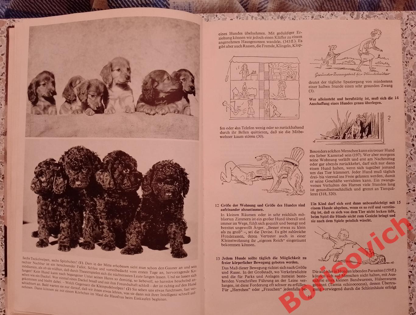 400 советов любителю собак 1965 г 112 страниц На немецком языке 3