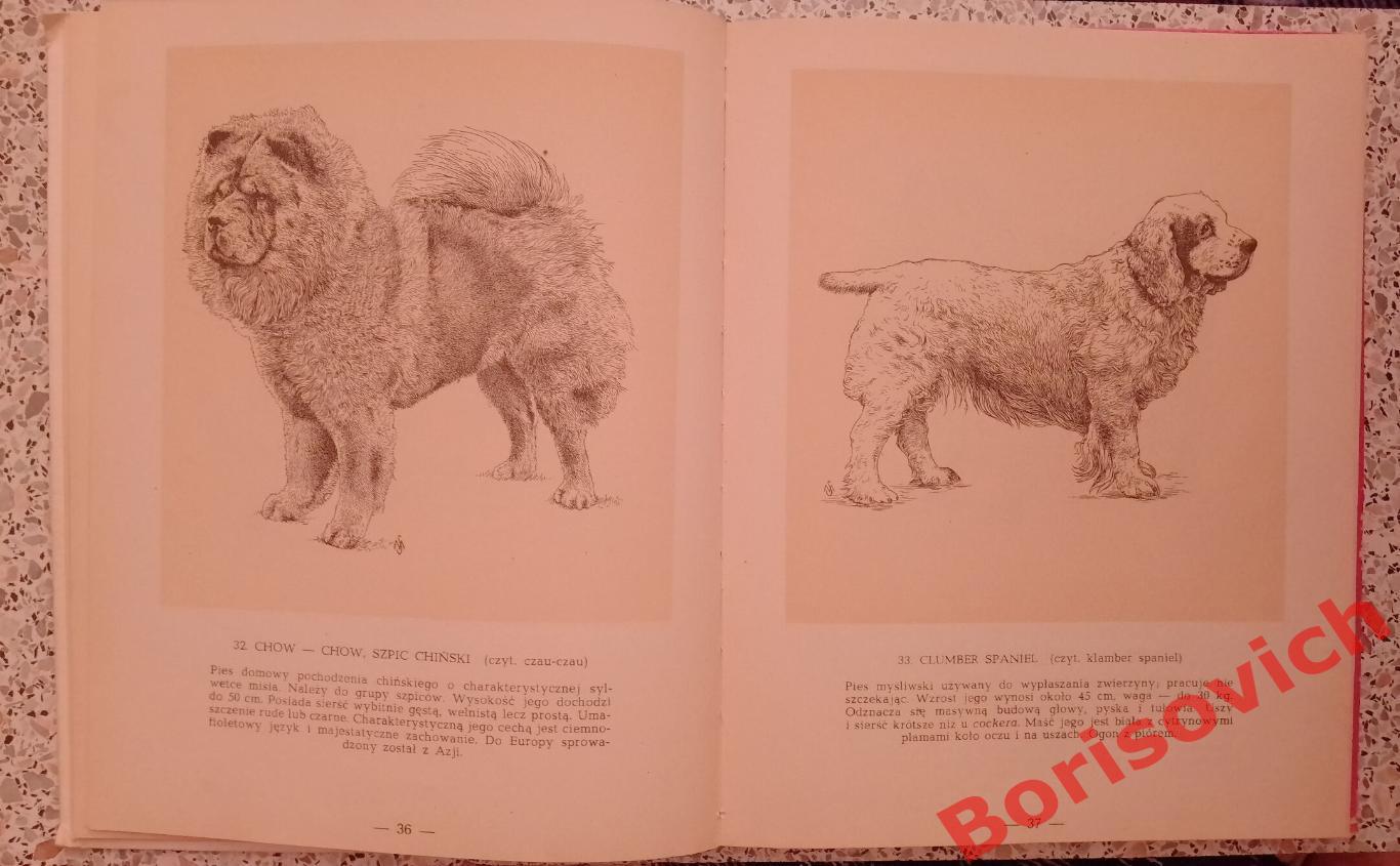 Породистые собаки 1960 г 144 страницы На польском языке. 6