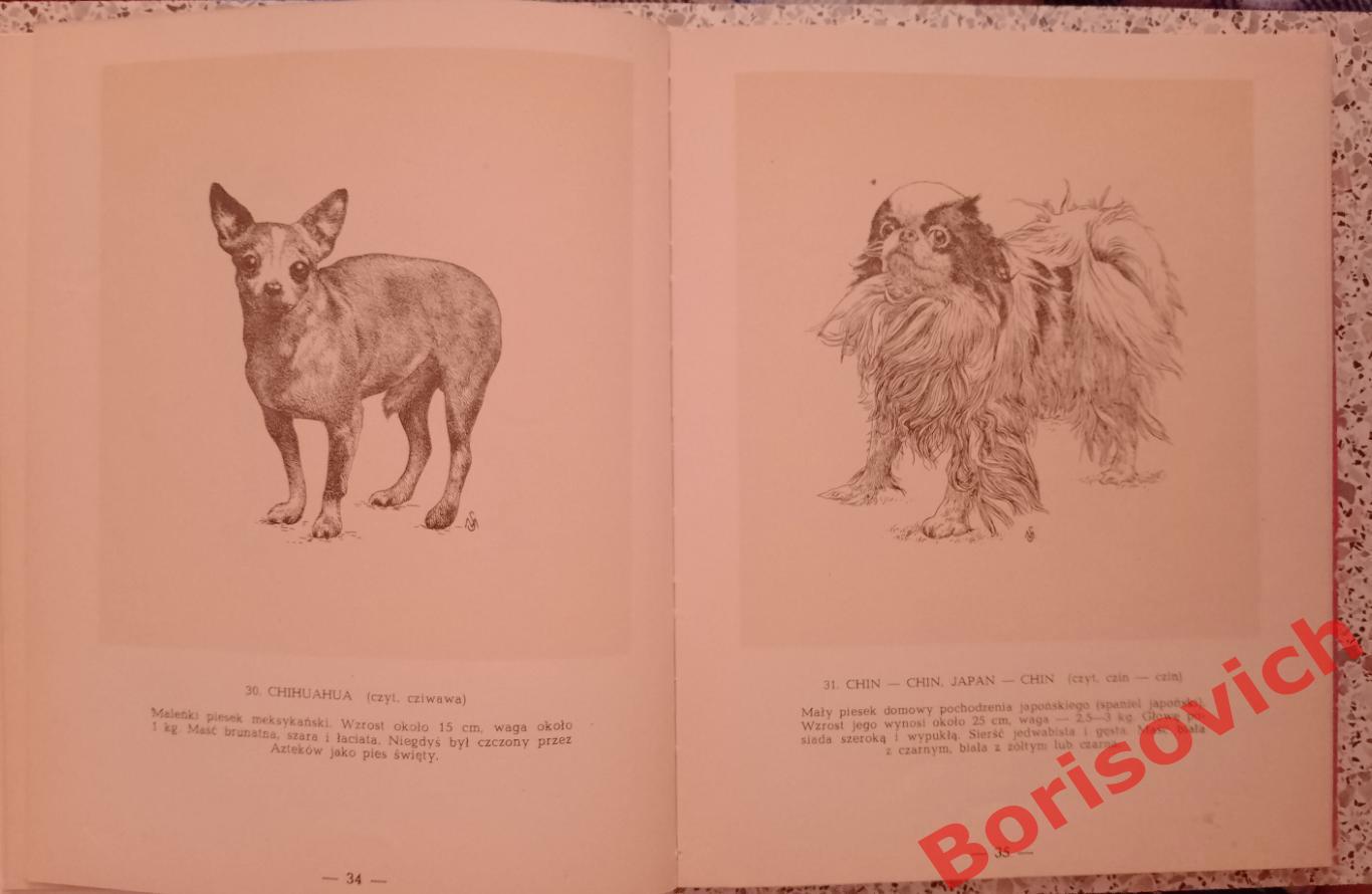 Породистые собаки 1960 г 144 страницы На польском языке. 7