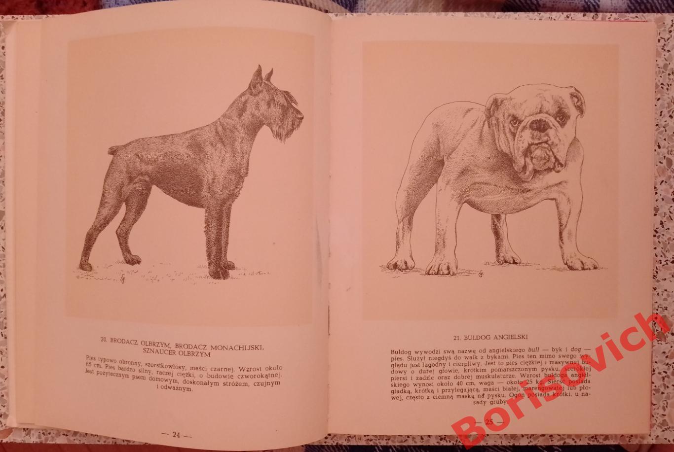 Породистые собаки 1960 г 144 страницы На польском языке. 2