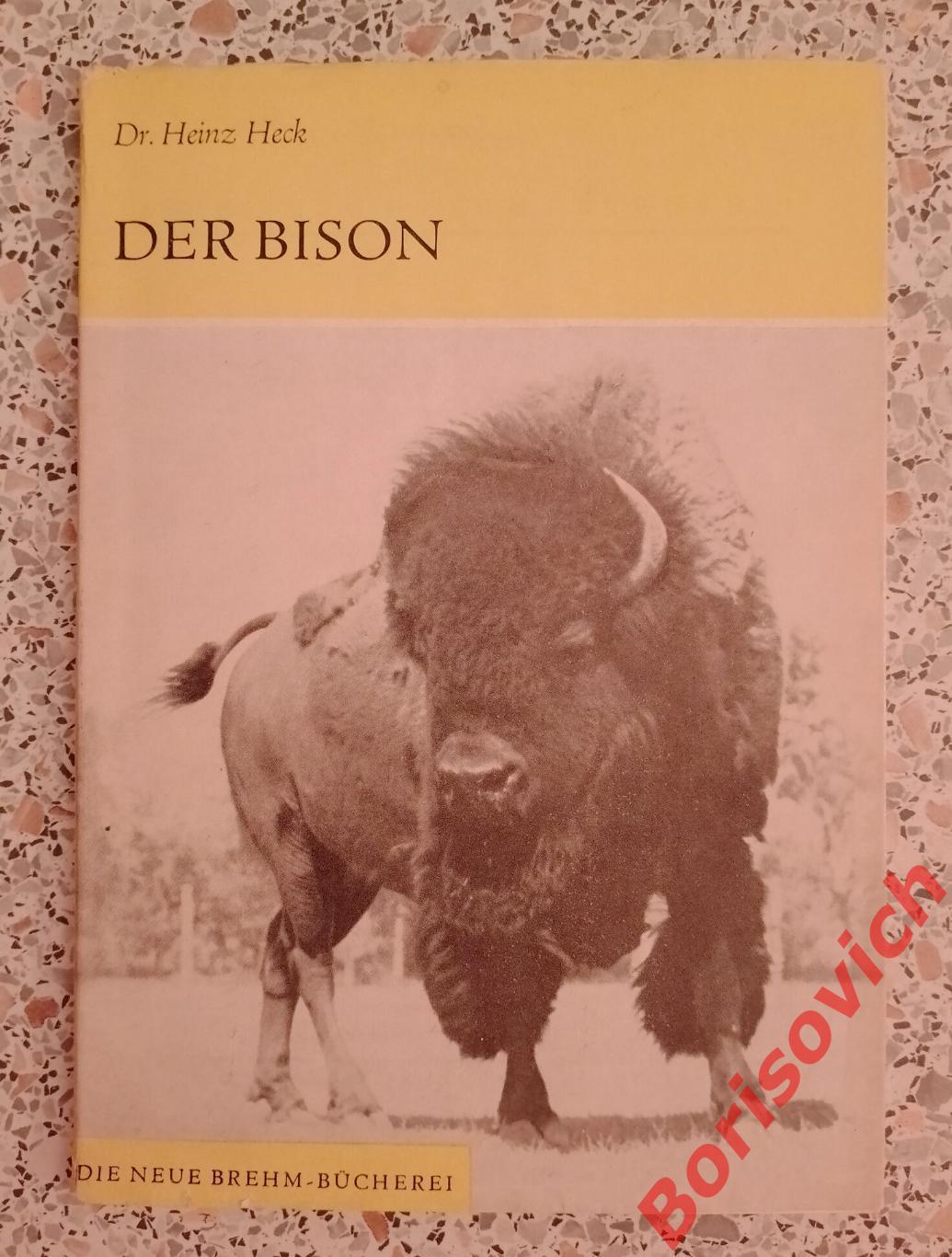 Dr. Heinz Heck Der Bison БИЗОН 1966 г 63 страницы НА НЕМЕЦКОМ ЯЗЫКЕ