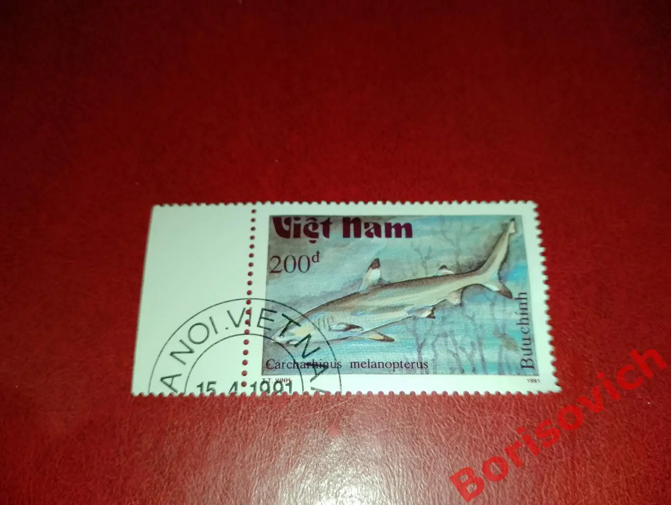 Марки Рыбы Мальгашская ночная акула Вьетнам. 8