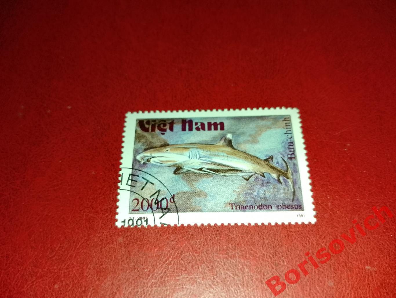 Марки Рыбы Рифовая акула Вьетнам. 5