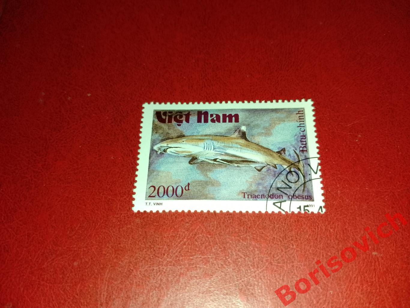 Марки Рыбы Рифовая акула Вьетнам. 6
