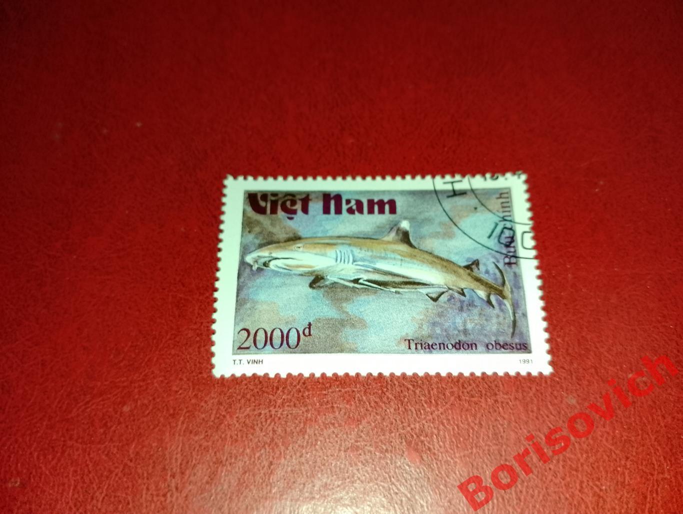 Марки Рыбы Рифовая акула Вьетнам. 7