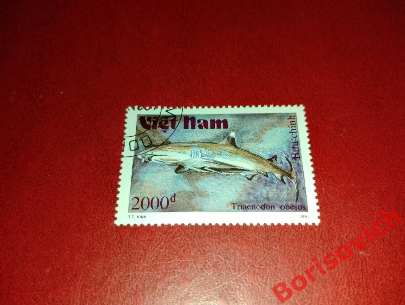 Марки Рыбы Рифовая акула Вьетнам. 8