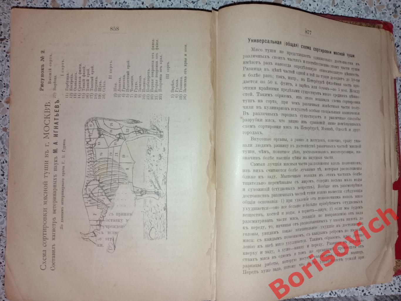 П. П. Александрова-Игнатьева ПРАКТИЧЕСКИЕ ОСНОВЫ КУЛИНАРНОГО ИСКУССТВА 1908 г 3