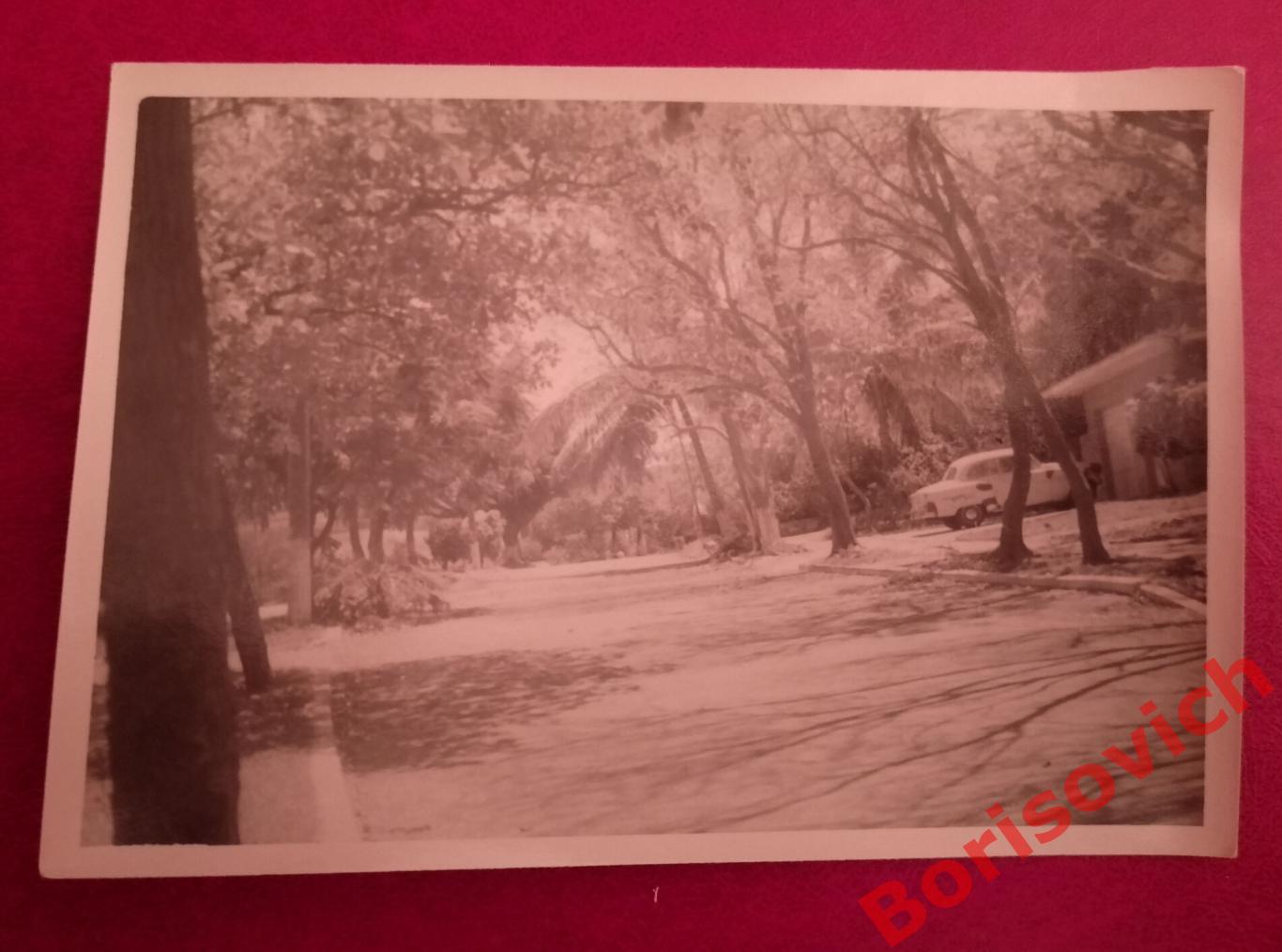 Оригинальное фото Куба Гавана Улица в бывшем буржуазном районе 1960 - е