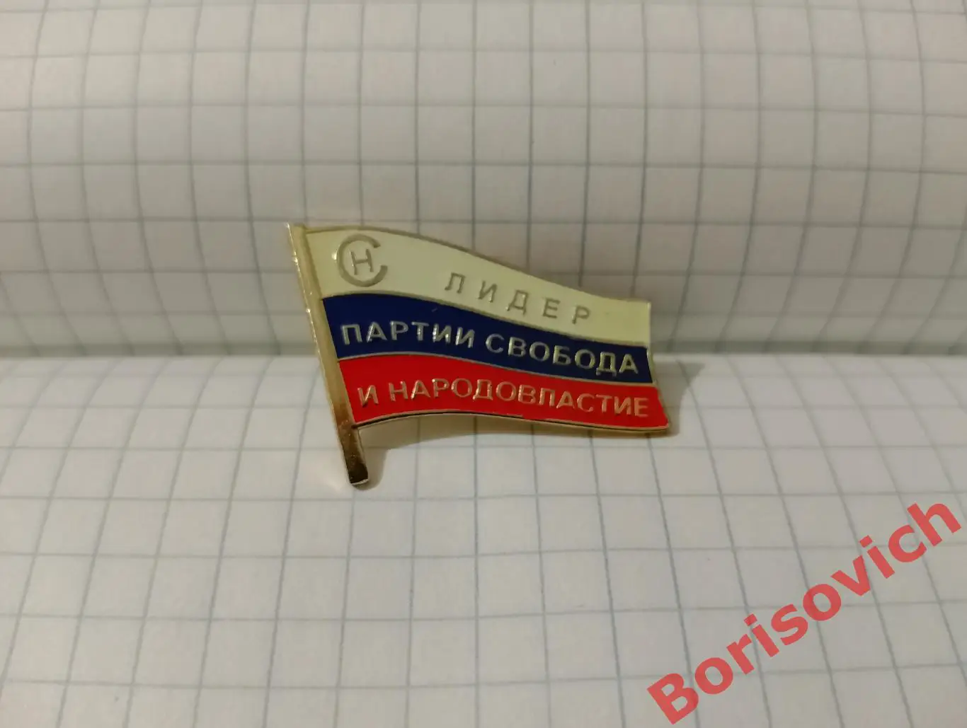 Лидер партии Свобода и народовластие