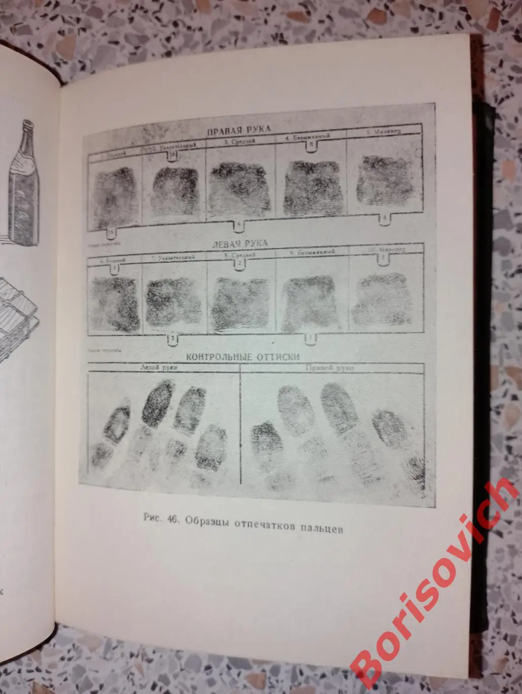 Н.А.Селиванов В.И.Терибилов ПЕРВОНАЧАЛЬНЫЕ СЛЕДСТВЕННЫЕ ДЕЙСТВИЯ 1956 г 283 стр 5