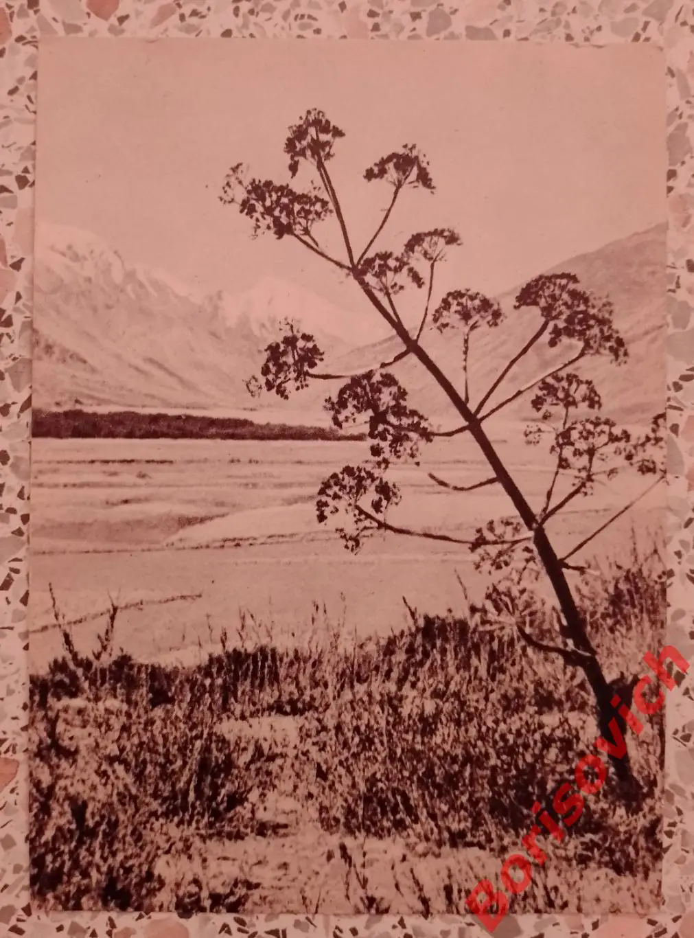 Река Танымас 1956