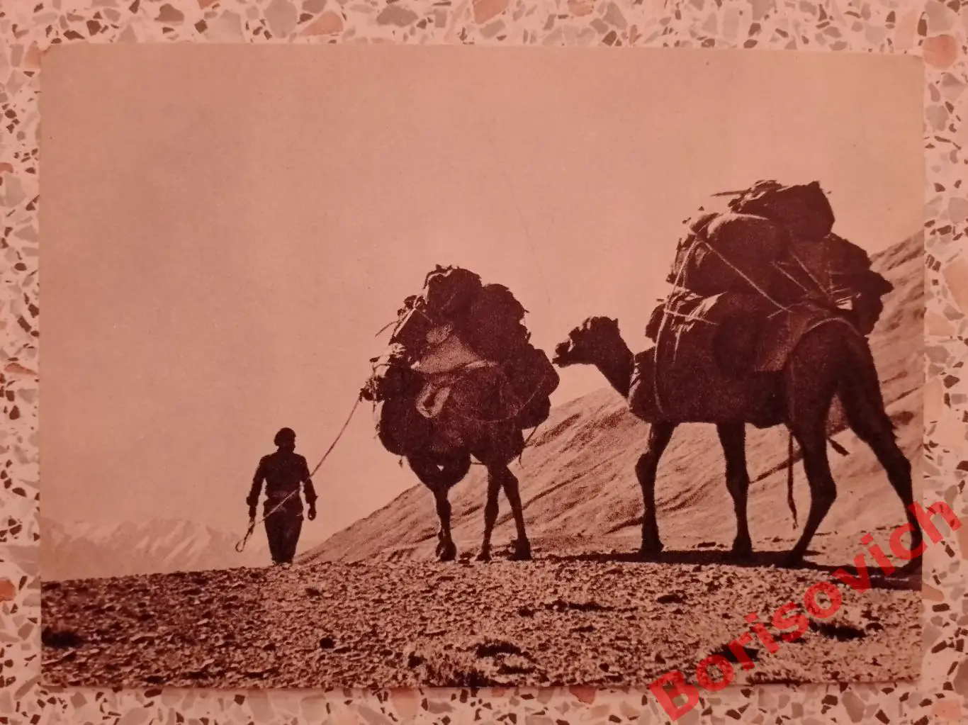 В походе 1956