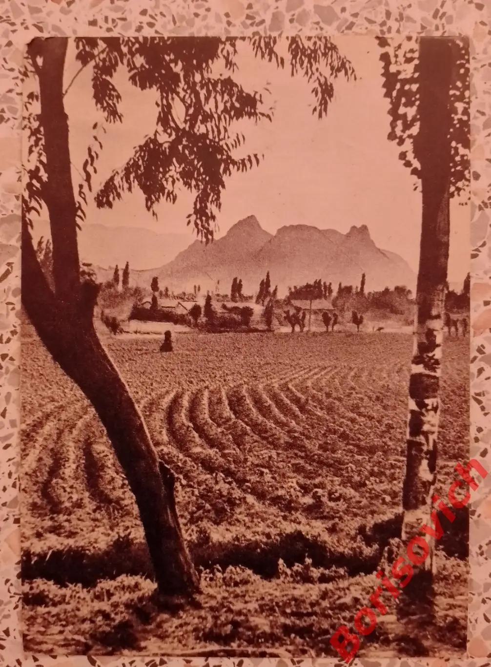 Вид на город Ош 1956