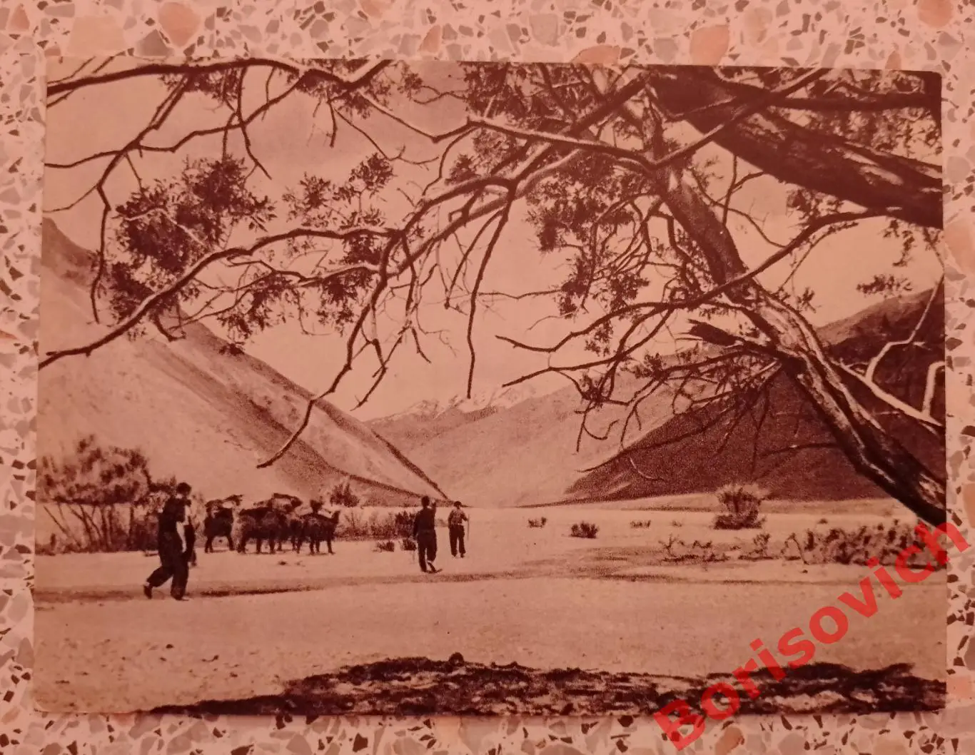 Долина реки Танымас 1956