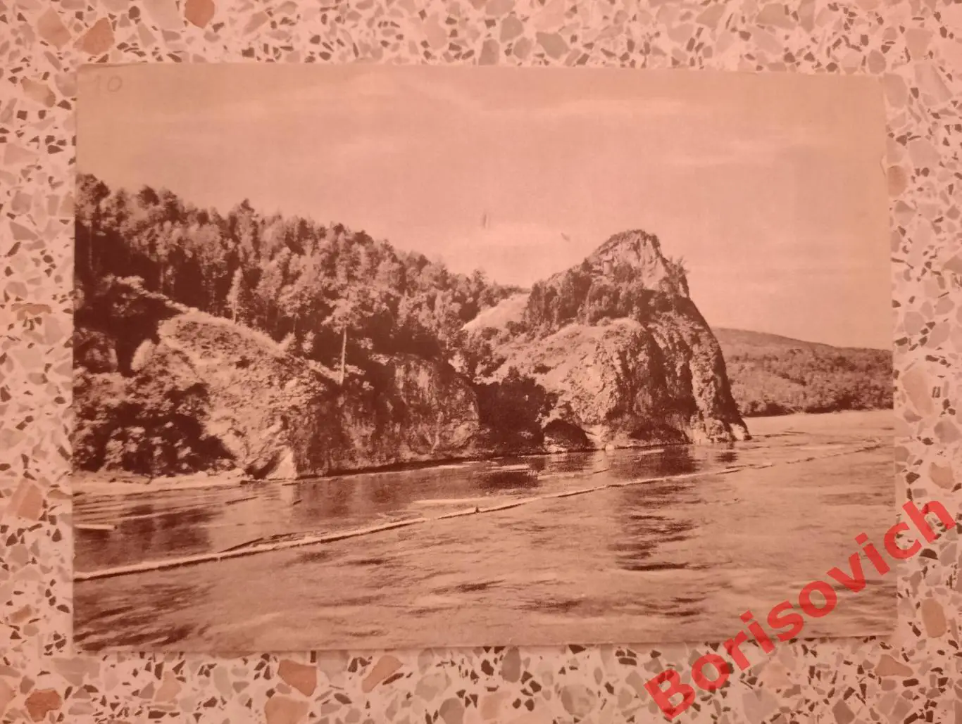 Река Енисей Берег с тайгой 1956