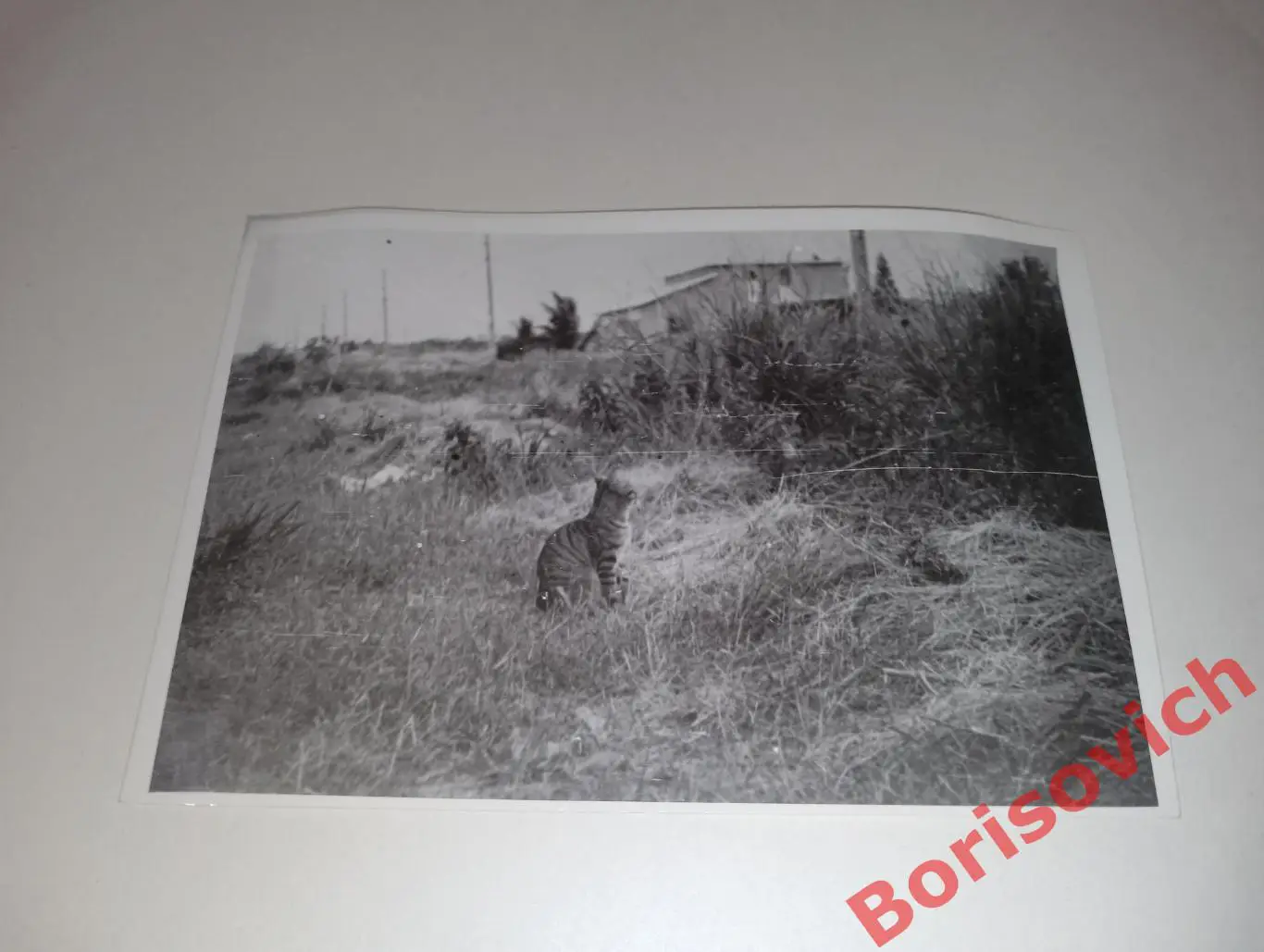 Старое фото Куба 1950 - е. 12