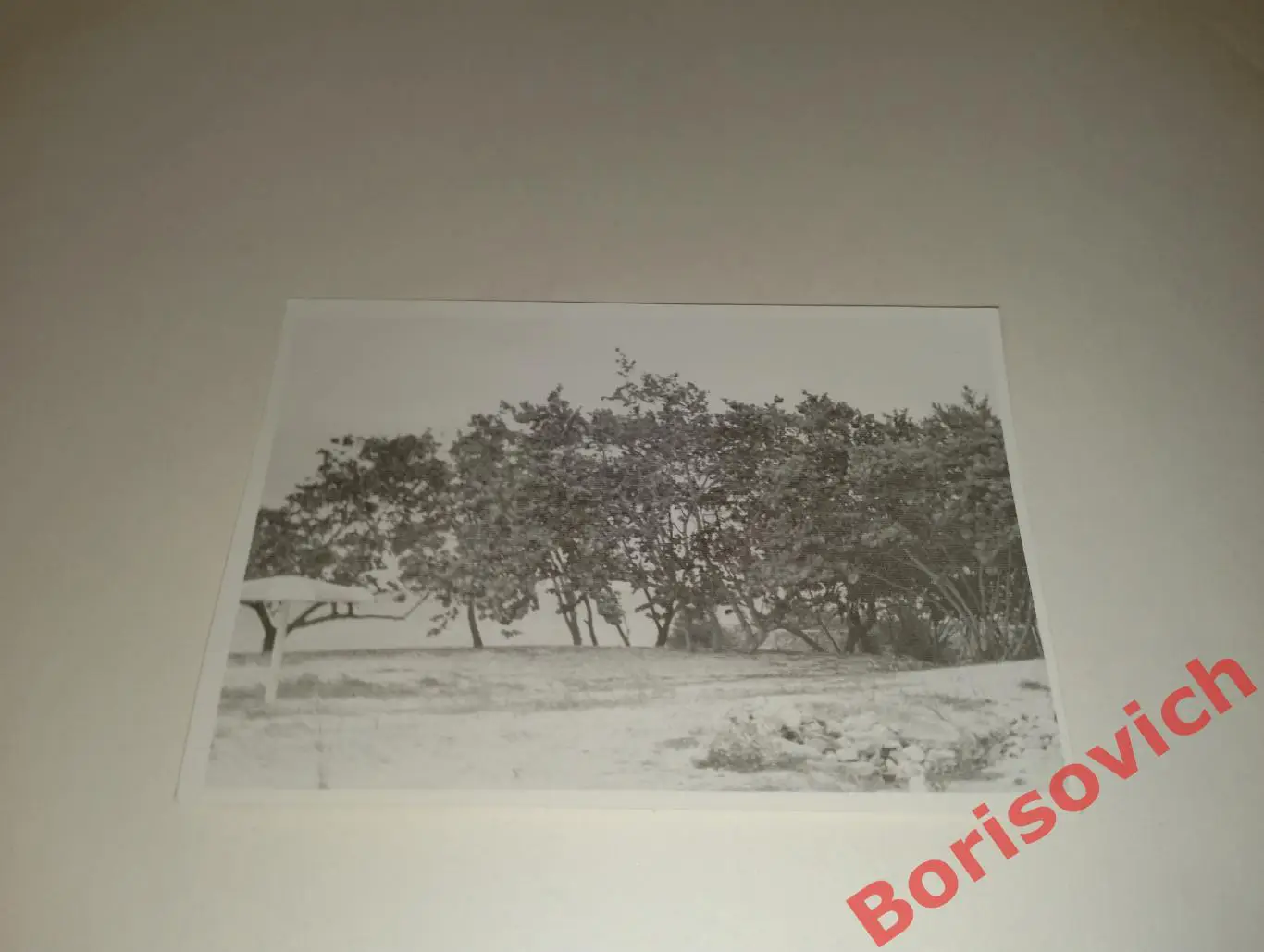 Старое фото Куба 1950 - е. 14