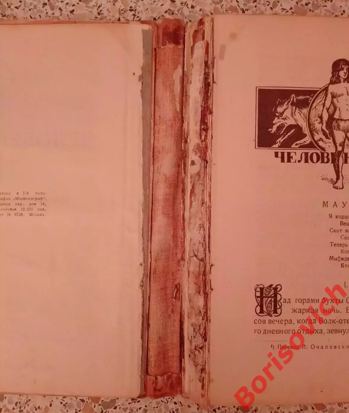 Редиард Киплинг ЧЕЛОВЕК ВОЛК 1923 г 275 стр Тираж 10 000 экз 2