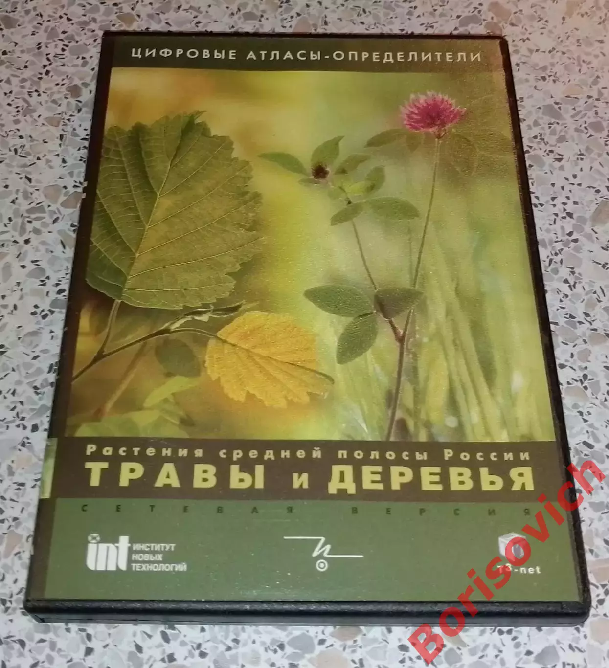 DVD ТРАВЫ И ДЕРЕВЬЯ Растения средней полосы России
