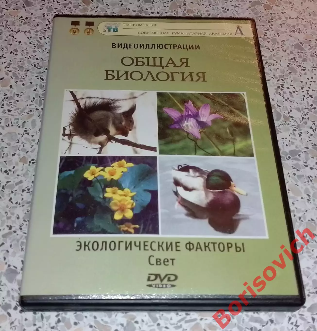 DVD ОБЩАЯ БИОЛОГИЯ Экологические факторы Свет