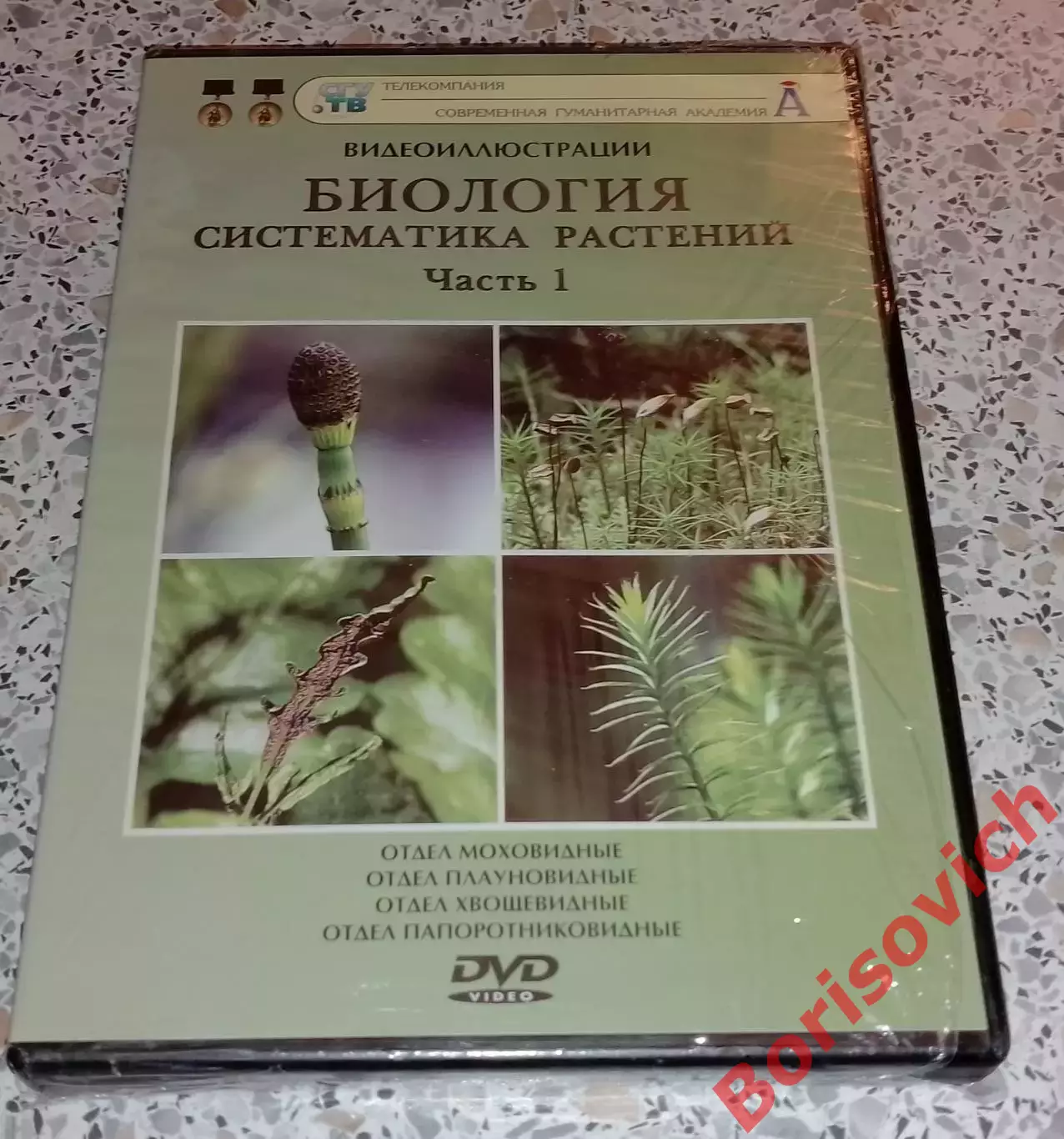 DVD ОБЩАЯ БИОЛОГИЯ Систематика растений МОХОВИДНЫЕ ПЛАУНОВИДНЫЕ ХВОЩЕВИДНЫЕ