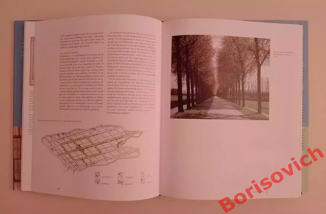 ГОЛЛАНДСКАЯ ЛАНДШАФТНАЯ АРХИТЕКТУРА 2005 6