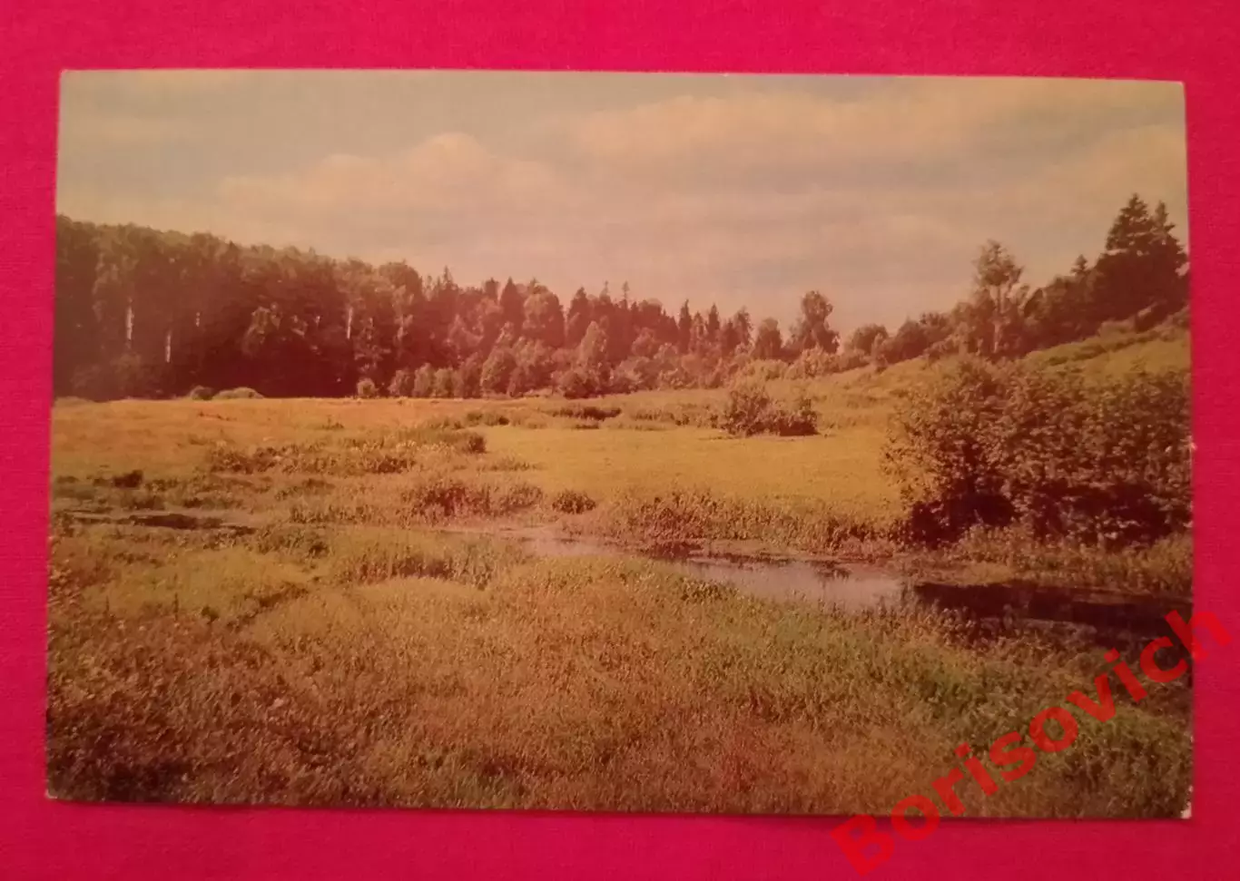 Абрамцево Луг в окрестностях усадьбы 1977