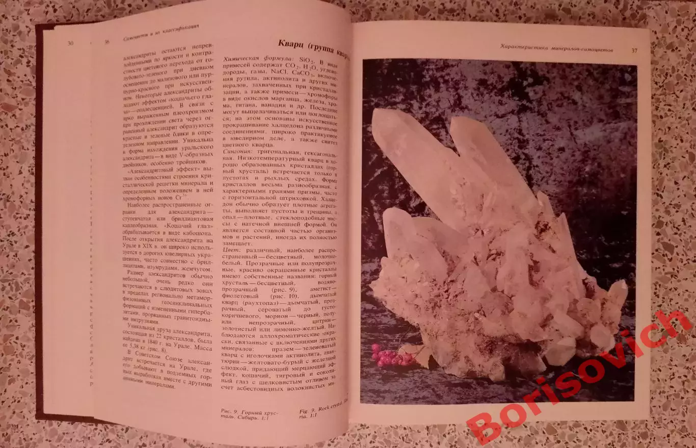 САМОЦВЕТЫ СССР 1985 г 335 страниц 4